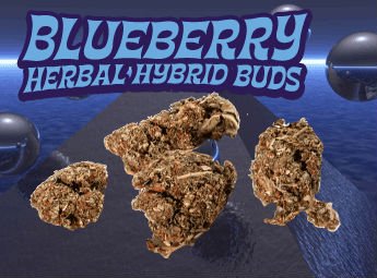 Blueberry Herbal Hybrid Buds