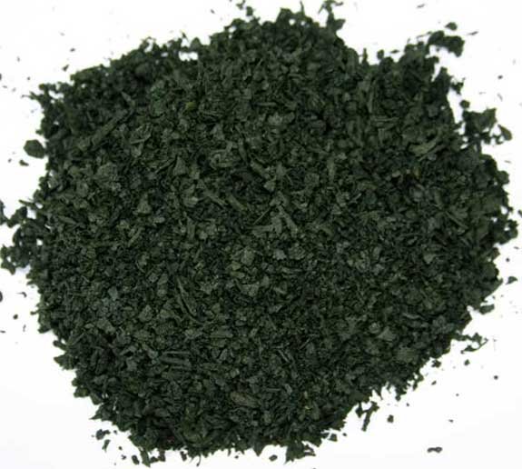 Salvia divin-orum