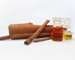  Cinnamon   Bark   Oil 