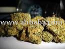 St. John's Wort   HERBAL BUDS AND LEAFS  and other herbal smoking herbs of it kinds available.