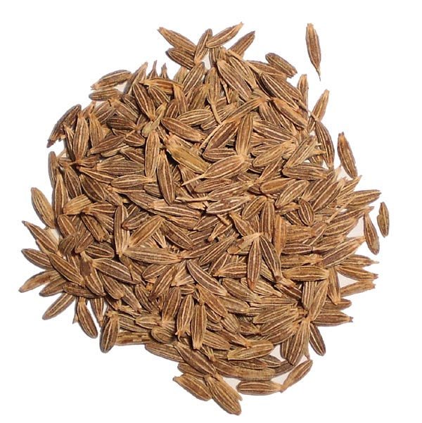 High Quality  Cumin  Seed  for sale at discount  price s