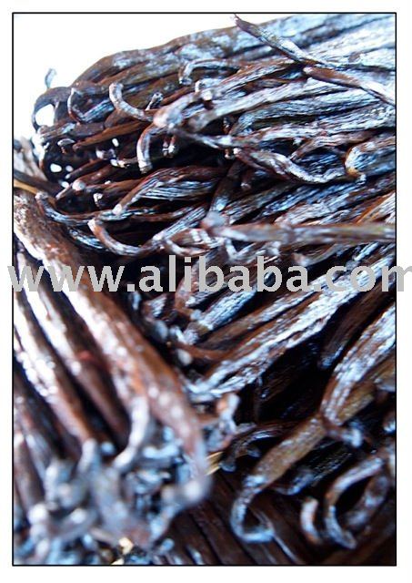 Vanilla Pods KG Label Premium 100% Made in Paradise Island of Mauritius