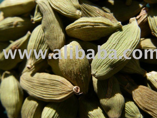 CARDAMOM