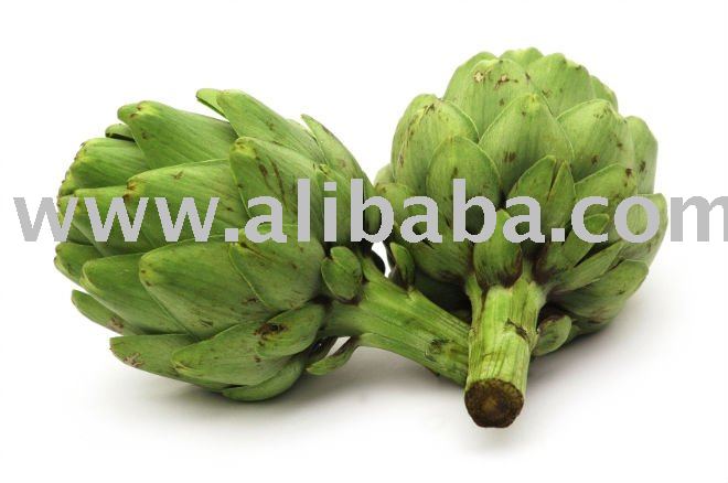 ARTICHOKE