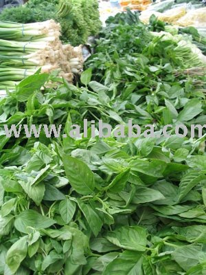 Herbs and spices ready for sale.