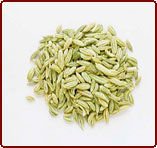 Fennel Seeds