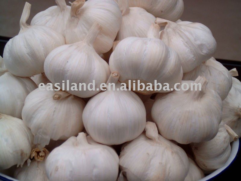 big normal garlic ITEM NO.36 (SIZE(cm):5