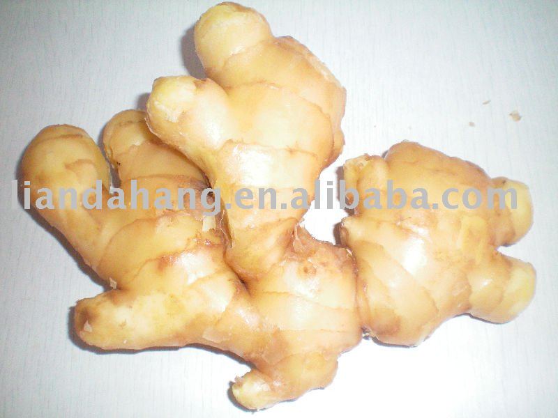 new crop  Whole   Ginger 