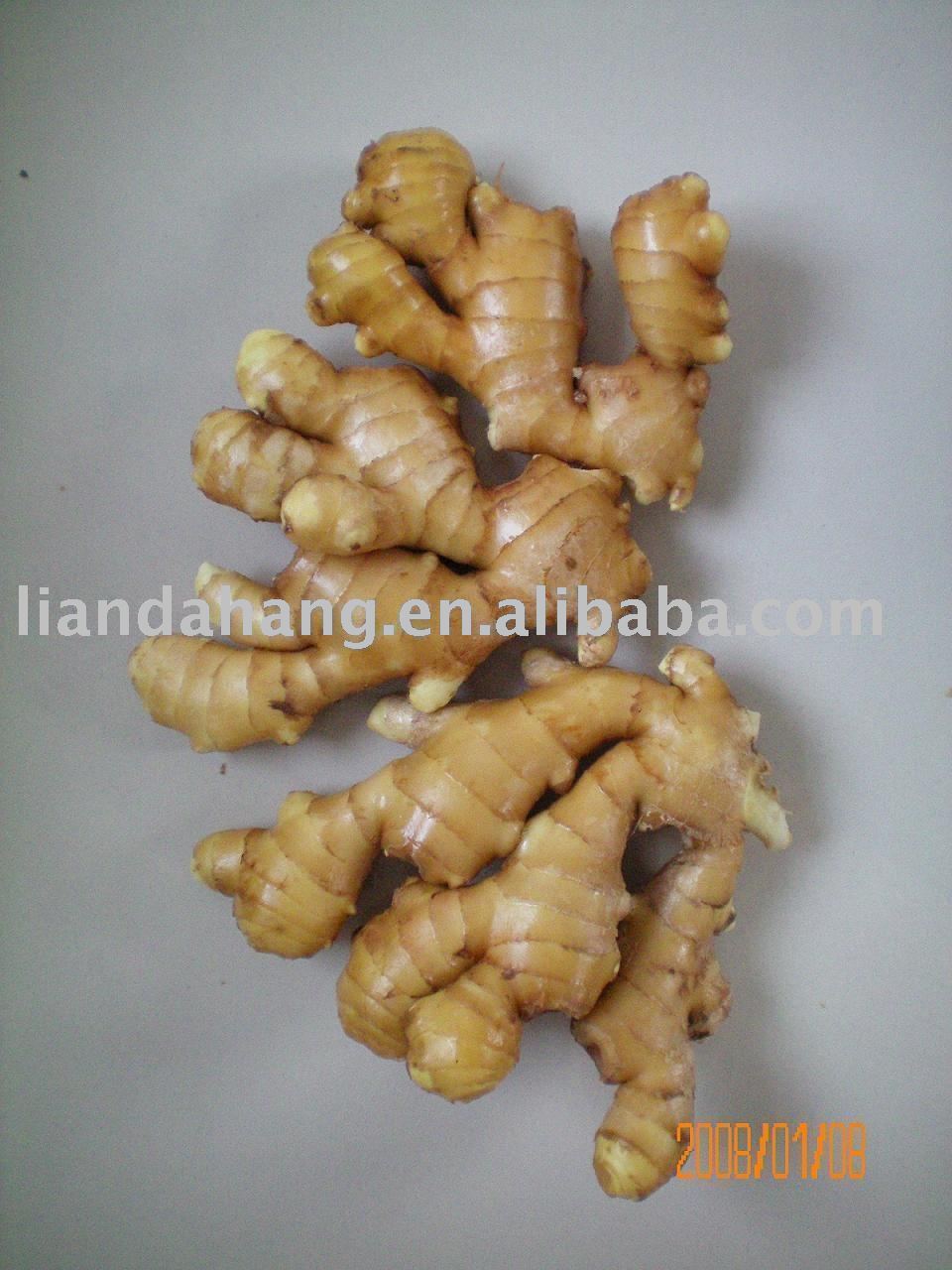 new  Japanese   ginger 