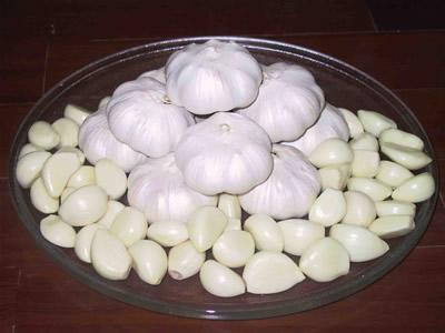 Garlic Extract Powder