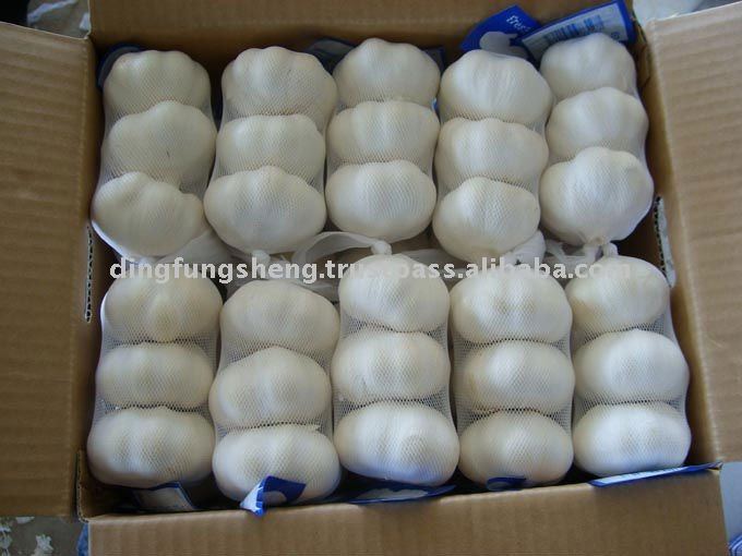 Garlic, Fresh Garlic, White Garlic, Pure White Garlic, Normal Garlic