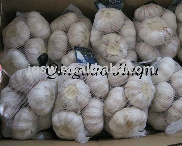 Chinese Fresh Garlic /Fresh Jinxiang Garlic/Fresh Laiwu Garlic/New crop Chinse Garlic 2011