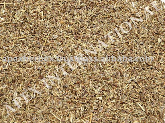 Exporter of Anthem Graveolens / Dill Seeds / Suwa