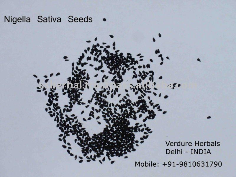 Nigella sativa seeds