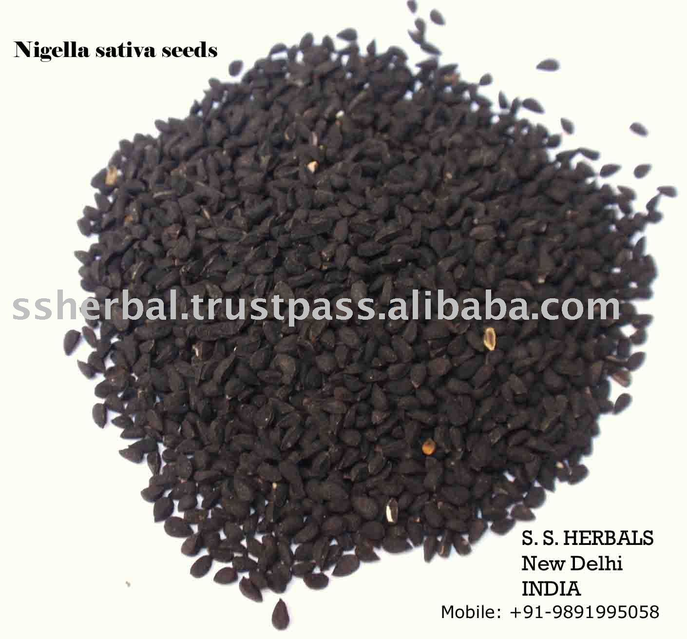 Nigella sativa seeds , Black cumin seeds