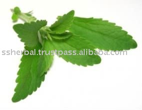 Stevia Extract , Herbal Extracts