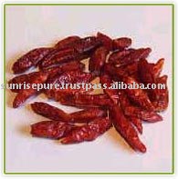 Red Chilli Dry