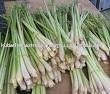 Organic lemon grass