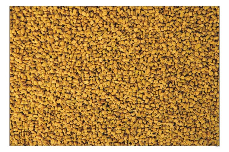 Fenugreek Seeds
