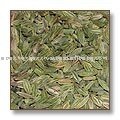 Herbs- Foeniculum   Vulgare  / Fennel Seeds / Saunf