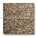 Spices- Cuminum Cyminum / Cumin Seeds / Jeera