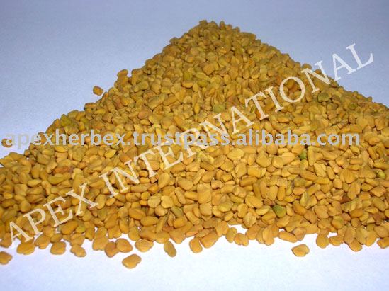 Exporter of Trigonella Foenum-Graecum / Fenugreek Seeds / Methi