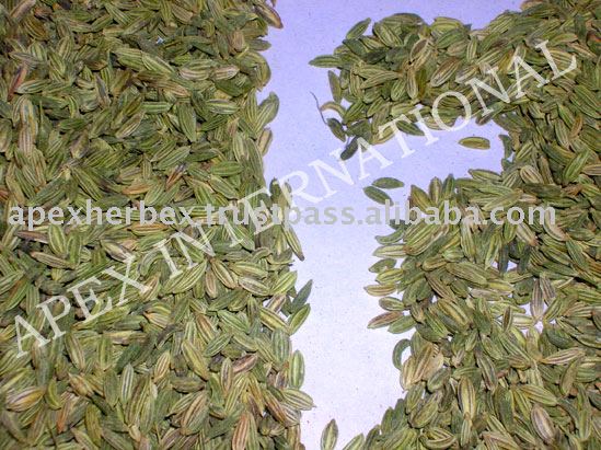 Exporter of Foeniculum Vulgare / Fennel Seeds / Saunf