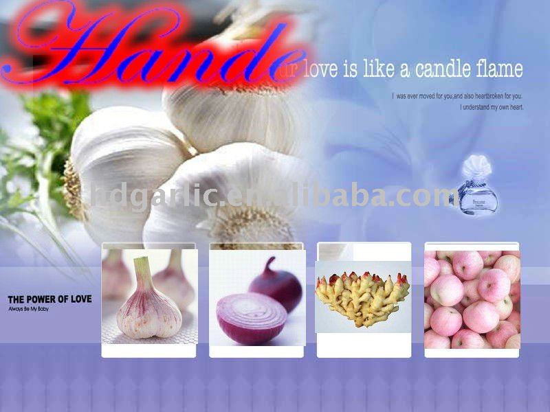 fresh normal white garlic