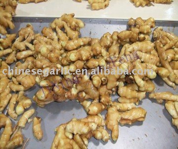Chinese Fresh Ginger(New crop)