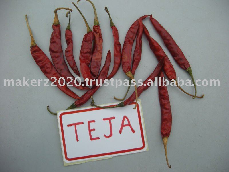 CHILLIES TEJA  ROTER  WITH STEM