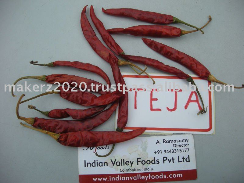 CHILLIES  RED TEJA    UDEN STILK