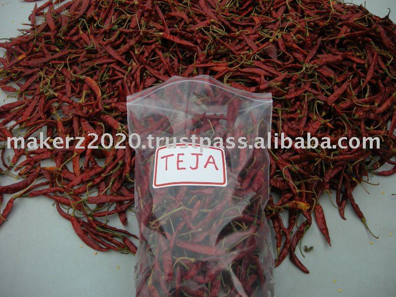 CHILLIES TEJA  ROJO  WITH STEM