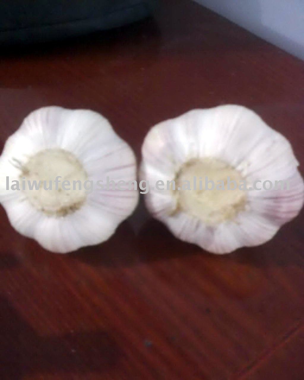  super   quality  fresh  garlic 