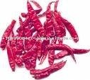 Indian Dry Red Chillies