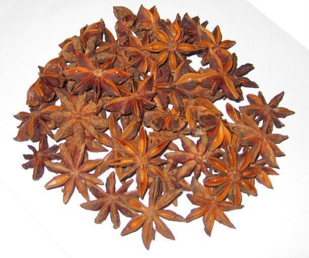 Broken star aniseed