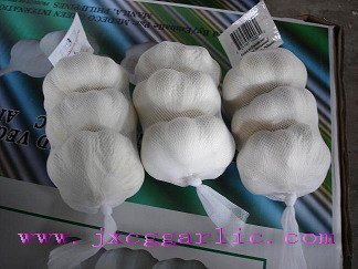 3pc pure white garlic