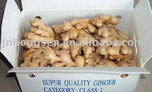 shine yellow ginger