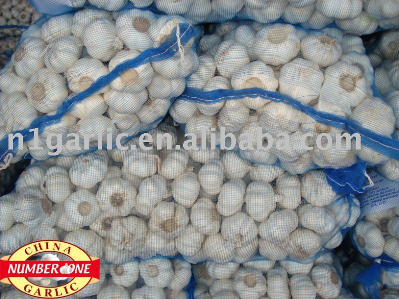 pure white garlic in bags