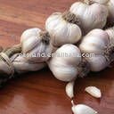 big normal  garlic  ITEM NO.3 5  (SIZE( cm ): 5 