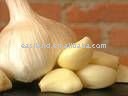 big garlic ITEM NO.32 (SIZE(cm):5