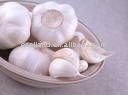 big normal garlic ITEM NO.33 (SIZE(cm):5