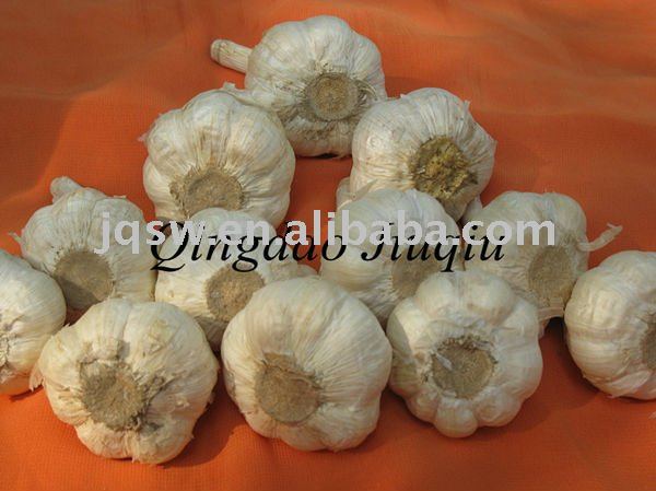 New Crop Fresh Gsrlic Chinese  Super   Quality   Garlic  Normal White  Garlic 