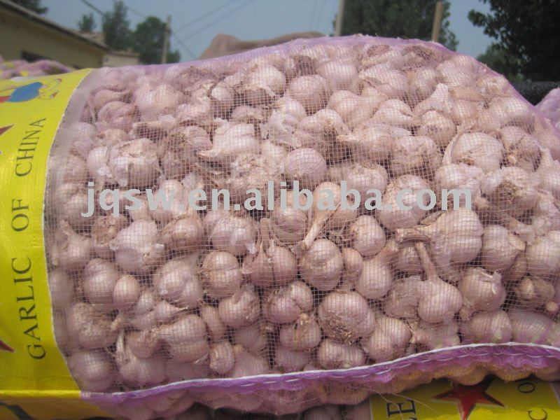 Fresh  Jining   Garlic 