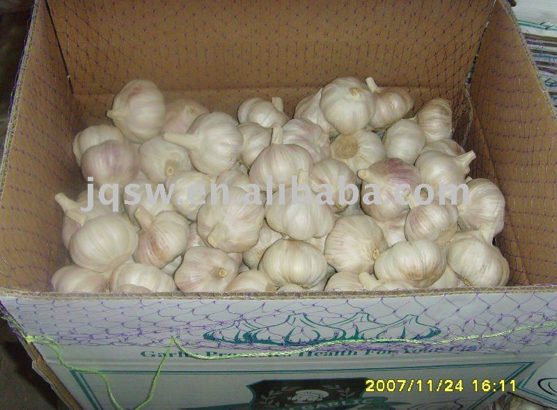 2011 New Fresh Chinese Normal White Garlic.Fresh Jinxiang garlic,Fresh Laiwu Garlic