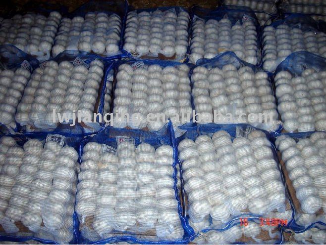 2011 fresh normal white garlic supplier