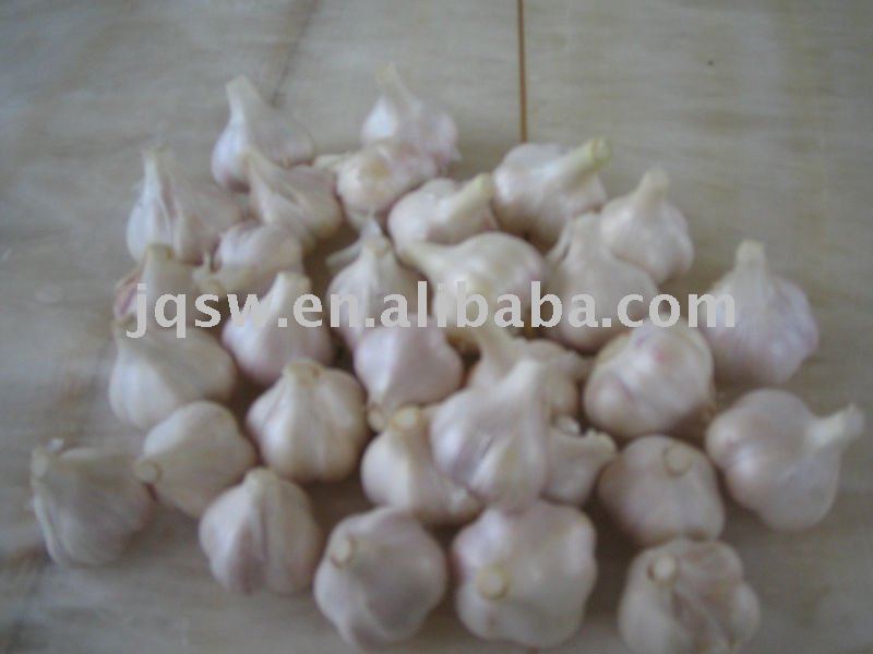 Supply 2011 Chinese Fresh Garlic/Laiwu Garlic\Jinxiang Garlic
