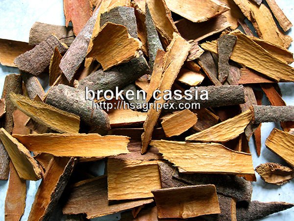 broken cassia-new crop