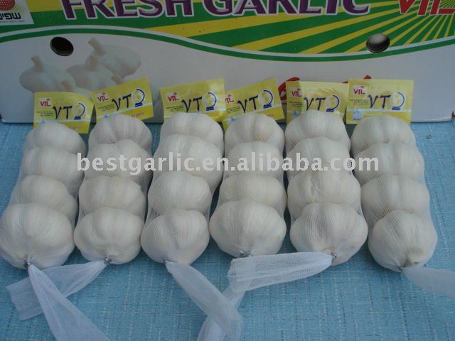 small packed normal/pure white fresh garlic 250g/mesh bag
