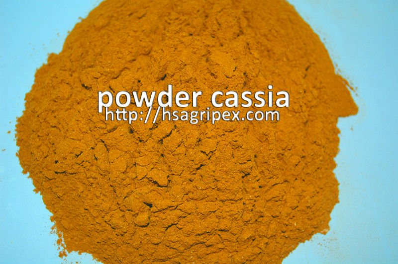 POWDER CASSIA-NEW CROP