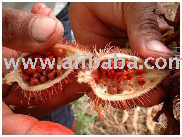 Annatto Seeds